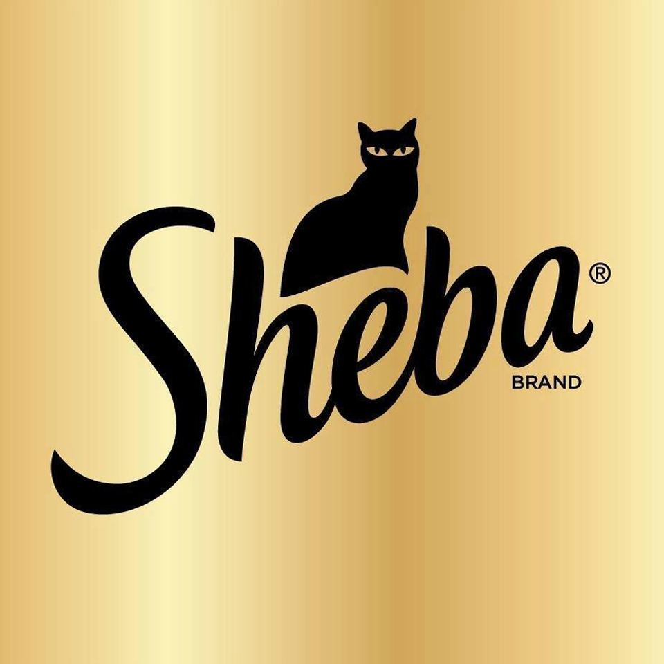 Read more about the article Sheba